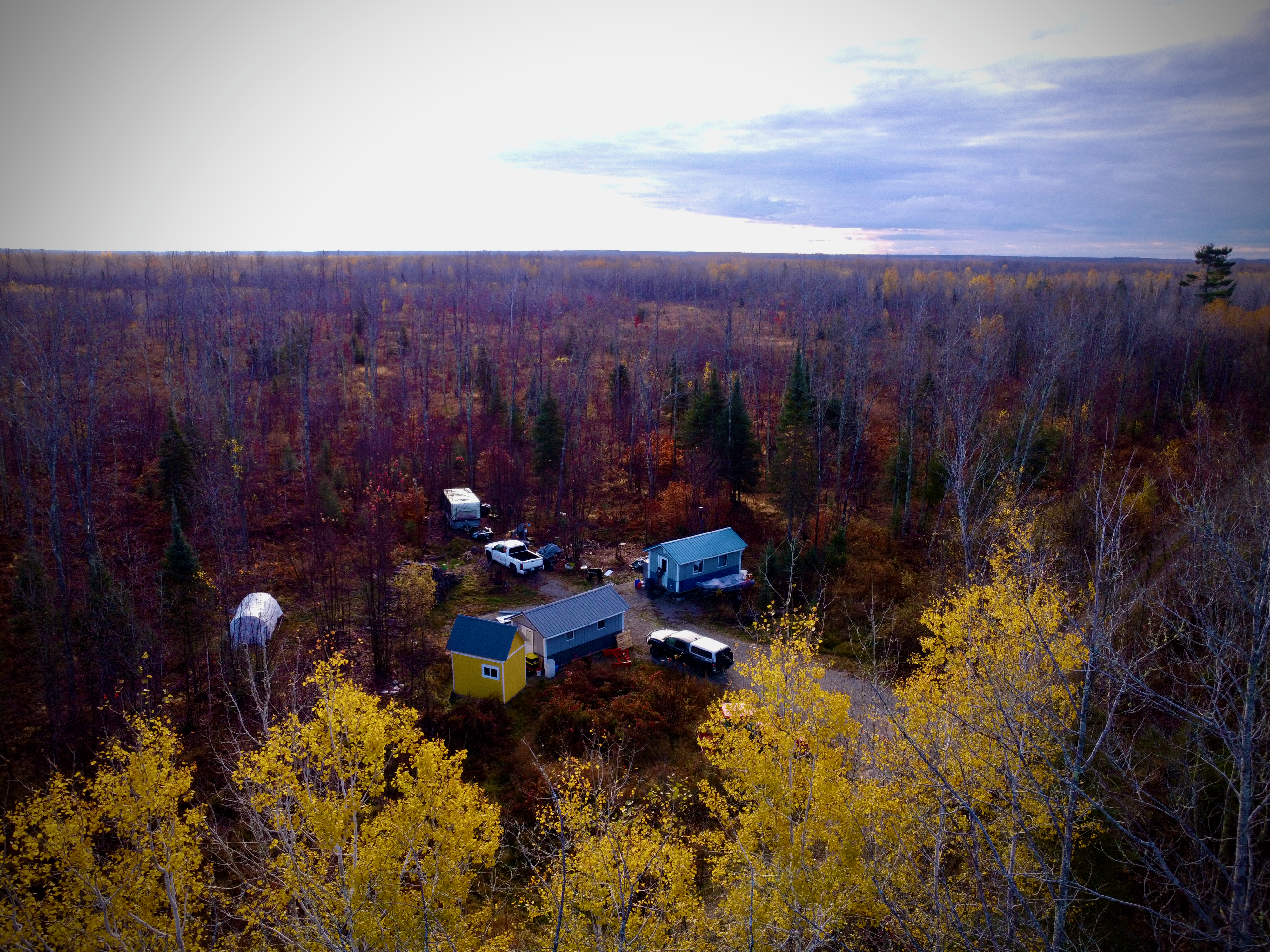 Aerial view of Fruition Forest Garden