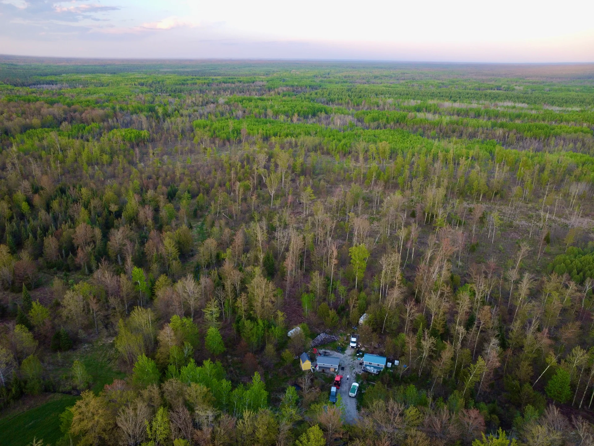 Aerial view of Fruition Forest Garden