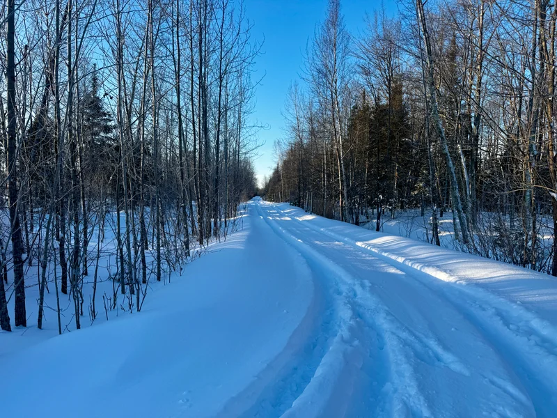The March ’26 Blizzard on the Homestead