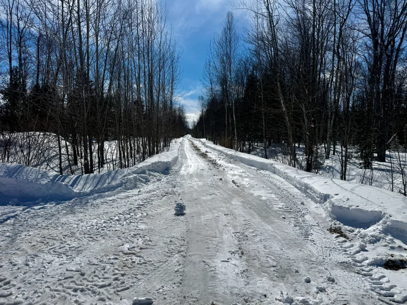 The March ’26 Blizzard on the Homestead