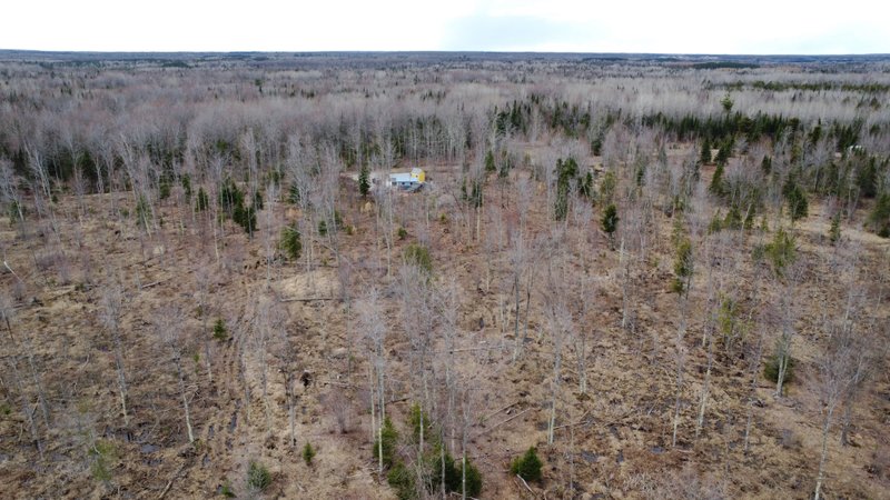 Two Homesteads | Lessons From Cascade Rainforest to the U.P.’s Banana Belt