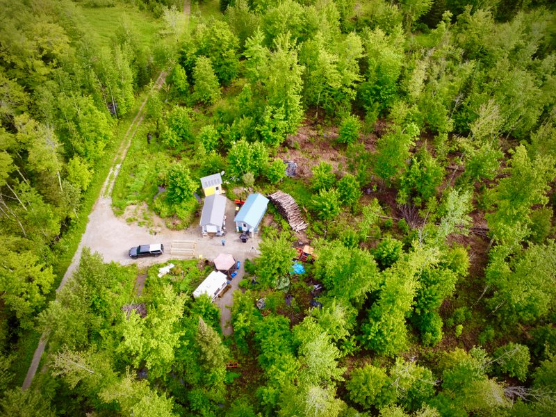 Lessons from the Land: A Three-Year Homestead Q&A