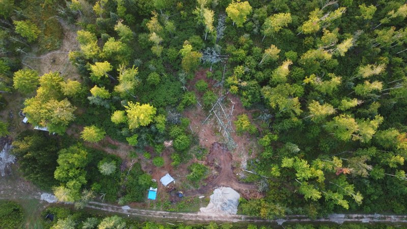 Lessons from the Land: A Three-Year Homestead Q&A
