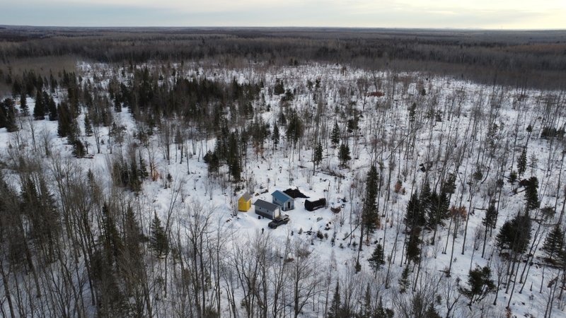 Two Homesteads | Lessons From Cascade Rainforest to the U.P.’s Banana Belt